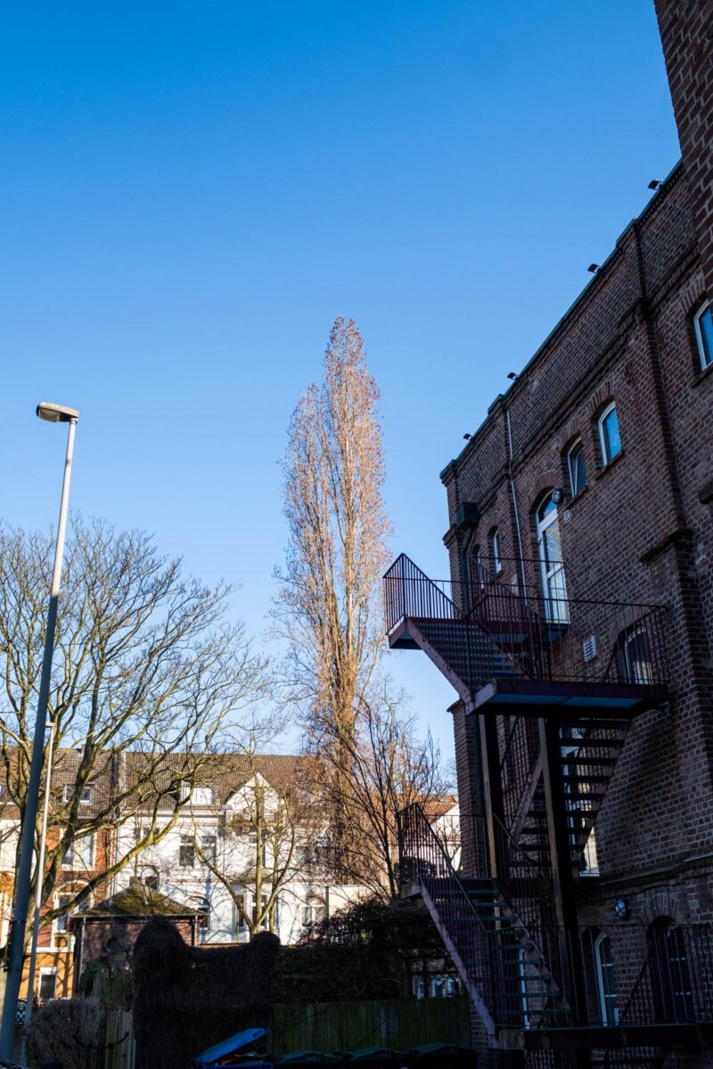 Marienviertel-6567